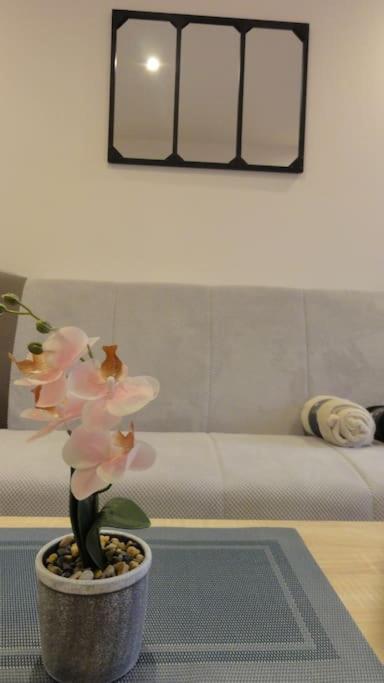 Apartamento Le Belvedere Dernier Etage Avec Terrasse Wifi Fibre Tarbes Exterior foto